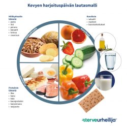 Urheiljan lautasmalli. Kevyt harjoituspäivä: 1/2 kasviksia, 1/4 proteiinia ja 1/4 (hiilihydraattia). Lisukkeena täysjyväleipä.